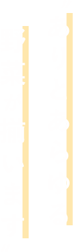 ありとあらゆる野菜が揃います