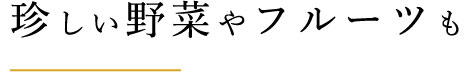 珍しい野菜やフルーツも