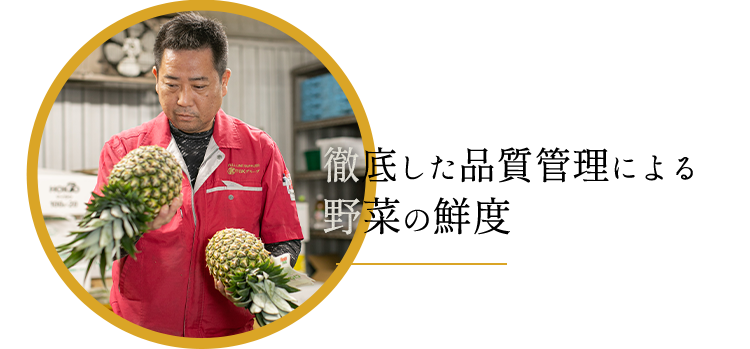 徹底した品質管理による