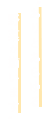ありとあらゆる野菜が揃います